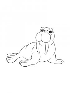 Walrus coloring page - picture 15