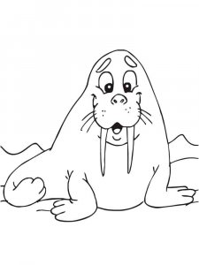 Walrus coloring page - picture 22