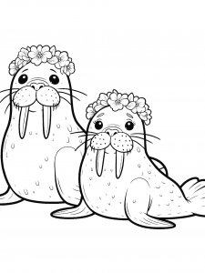 Walrus Coloring Pages 24