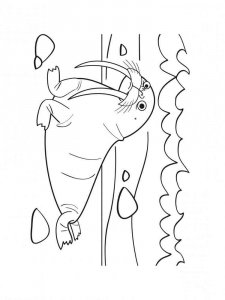 Walrus coloring page - picture 8