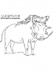 Warthog coloring page - picture 12
