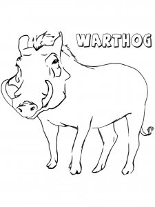 Warthog coloring page - picture 13