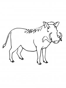 Warthog coloring page - picture 5