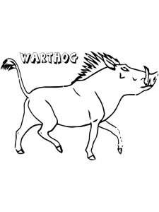 Warthog coloring page - picture 7