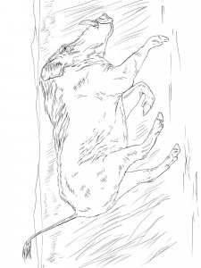 Warthog coloring page - picture 9