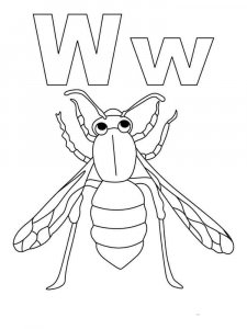 Wasp coloring page - picture 1