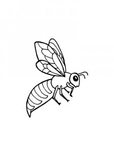 Wasp coloring page - picture 12