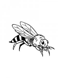 Wasp coloring page - picture 13