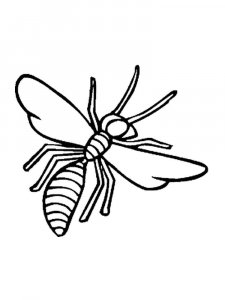 Wasp coloring page - picture 14