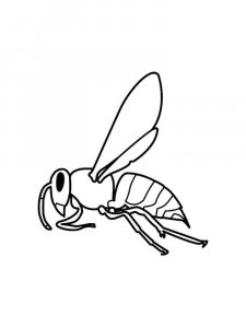 Wasp coloring page - picture 16