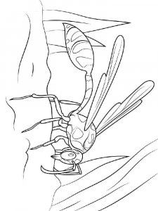Wasp coloring page - picture 3