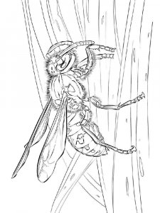 Wasp coloring page - picture 4