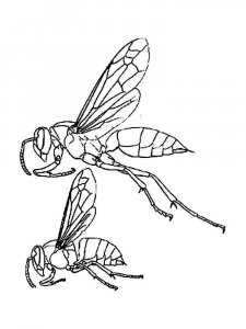 Wasp coloring page - picture 8