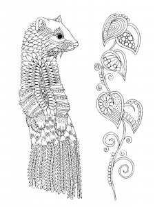 Weasel coloring page - picture 10