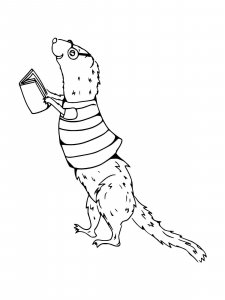 Weasel coloring page - picture 14