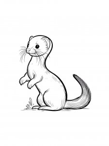 Weasel Coloring Pages 15