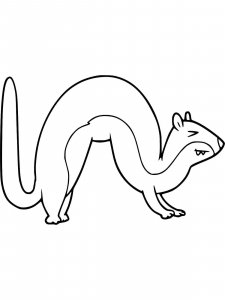 Weasel coloring page - picture 4