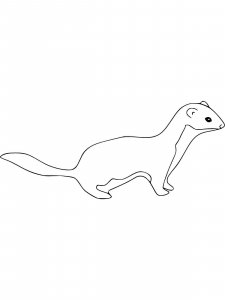 Weasel coloring page - picture 5