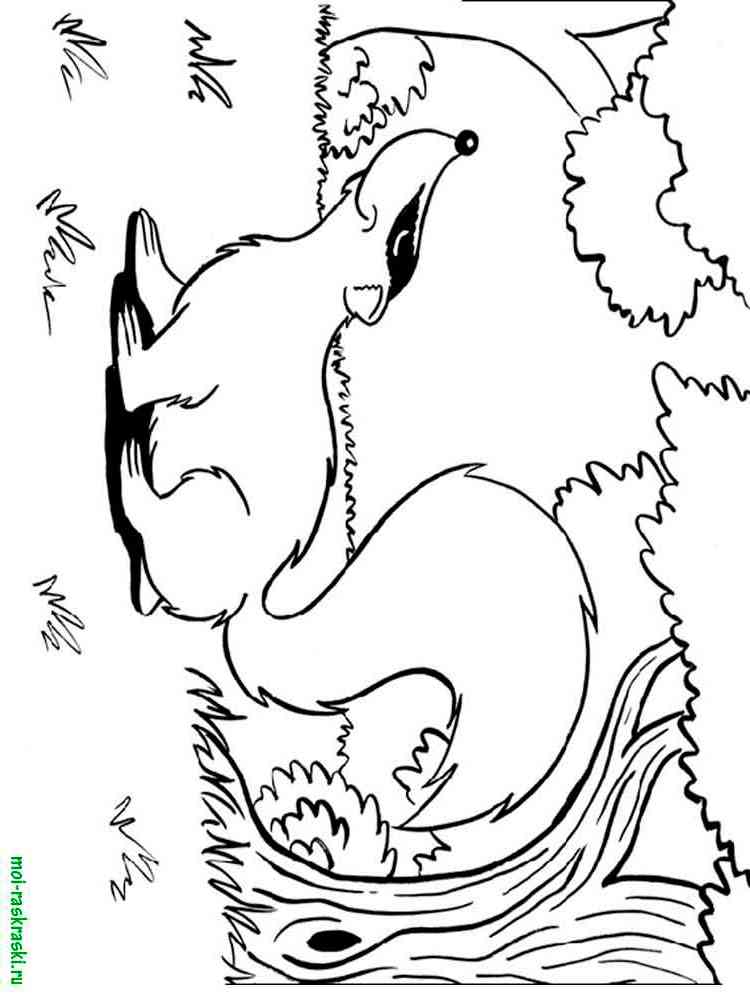 Free Wild Animal coloring pages. Download and print Wild Animal