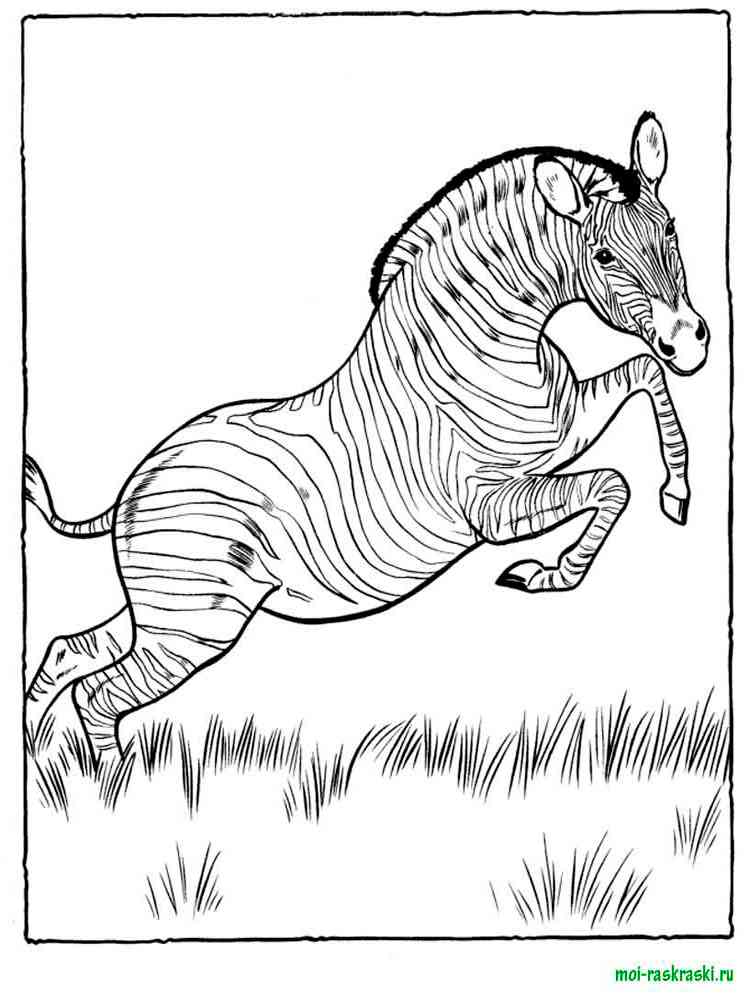 Free Wild Animal coloring pages. Download and print Wild Animal