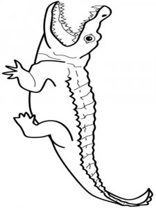 Wild Animal coloring page - picture 13