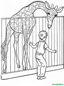Wild Animal coloring page - picture 2