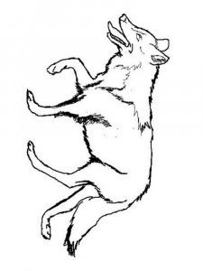 Wild Animal coloring page - picture 22