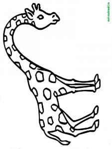 Wild Animal coloring page - picture 25
