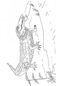 Wild Animal coloring page - picture 28