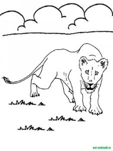 Wild Animal coloring page - picture 29