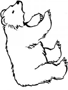 Wild Animal coloring page - picture 3