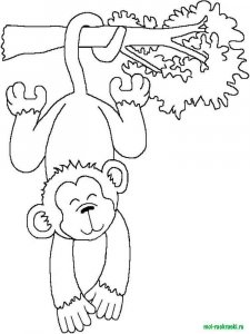 Wild Animal coloring page - picture 32