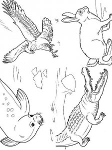 Wild Animal coloring page - picture 35
