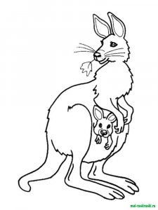 Wild Animal coloring page - picture 39