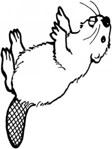 Wild Animal coloring page - picture 4