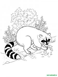 Wild Animal coloring page - picture 41