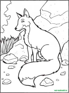 Wild Animal coloring page - picture 44