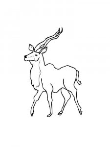 Wild Animal coloring page - picture 52