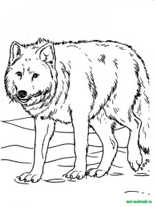 Wild Animal coloring page - picture 6