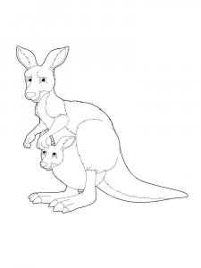 Wild Animal coloring page - picture 63