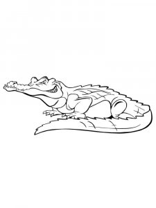 Wild Animal coloring page - picture 65