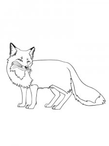 Wild Animal coloring page - picture 68