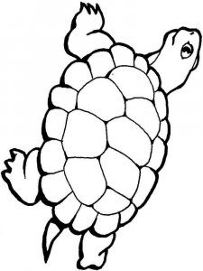 Wild Animal coloring page - picture 7