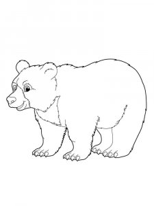 Wild Animal coloring page - picture 70