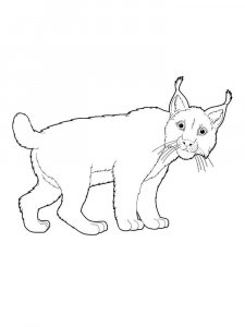 Wild Animal coloring page - picture 77