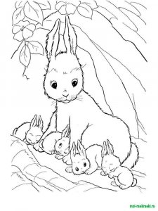 Wild Animal coloring page - picture 8