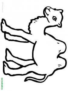 Wild Animal coloring page - picture 9