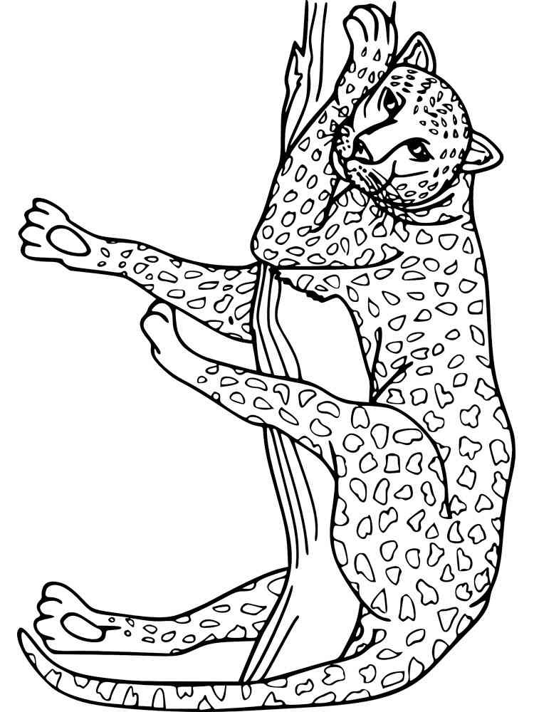 Wild cats coloring pages. Download and print Wild cats coloring pages.