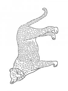 Wild cats coloring page - picture 16