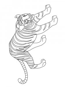 Wild cats coloring page - picture 17